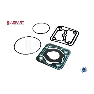 5RKI1001 ASPART