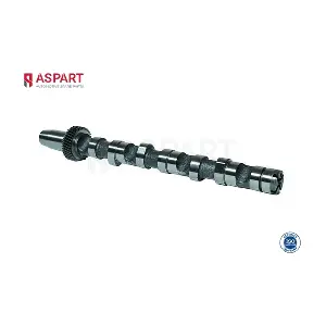 8CAM1009 ASPART