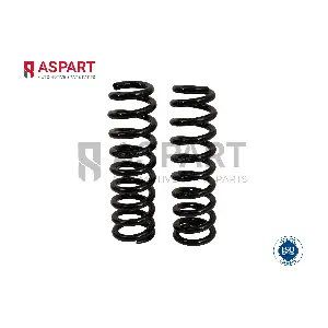 1CSP1091 ASPART