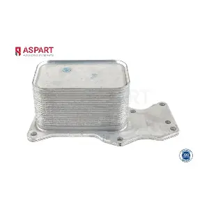 6OCO1053 ASPART
