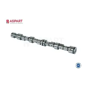 8CAM1081 ASPART