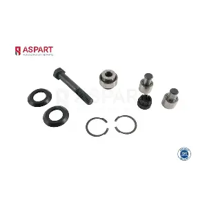 4RKI1020 ASPART