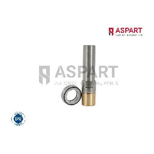 1RKI1008 ASPART