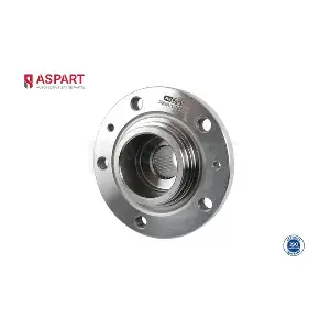 1WHU1066 ASPART