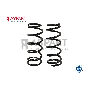 1CSP1164 ASPART
