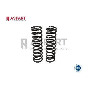 1CSP1060 ASPART