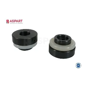7RKI1006 ASPART