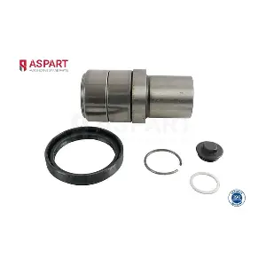 1RKI1002 ASPART