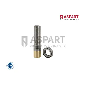 1RKI1044 ASPART