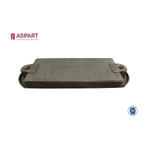 6OCO1074 ASPART