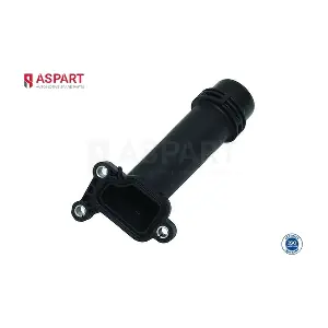 6PIP1007 ASPART