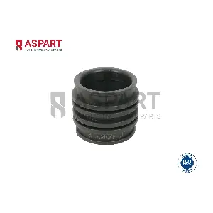 6PIP1029 ASPART