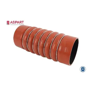 5HOS1406 ASPART