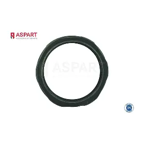 1NUT1004 ASPART
