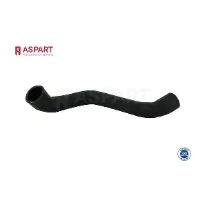 6HOS1038 ASPART