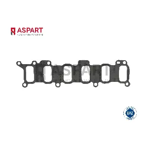 5GAS1011 ASPART