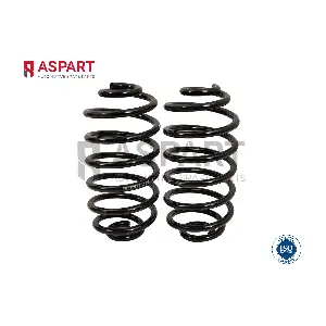 1CSP1076 ASPART