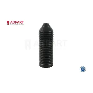 1DPS1002 ASPART