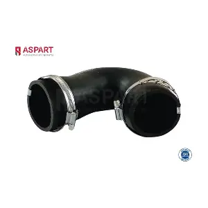 5HOS1305 ASPART