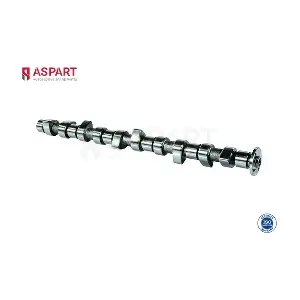 8CAM1001 ASPART