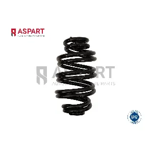 1CSP1105 ASPART