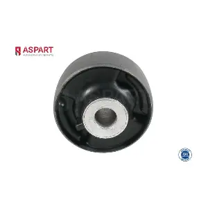 1BUS1114 ASPART