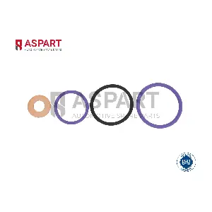 5RKI1004 ASPART