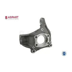1SKN1019 ASPART