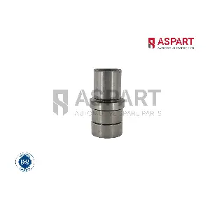1RKI1040 ASPART