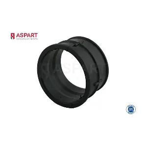 5HOS1345 ASPART