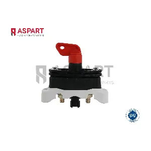 2BSW1001 ASPART