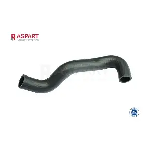 6HOS1259 ASPART