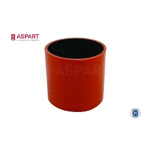 5HOS1007 ASPART