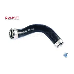 5HOS1096 ASPART
