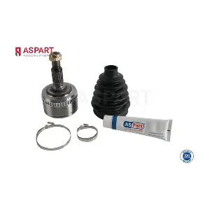 1RKI1005 ASPART