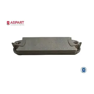 6OCO1128 ASPART