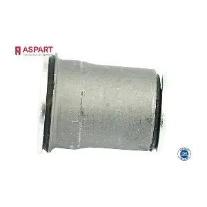 1BUS1091 ASPART