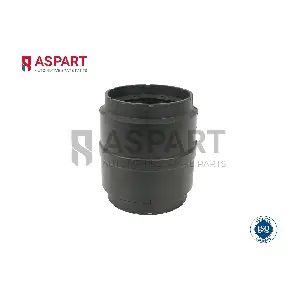 1BUS1005 ASPART