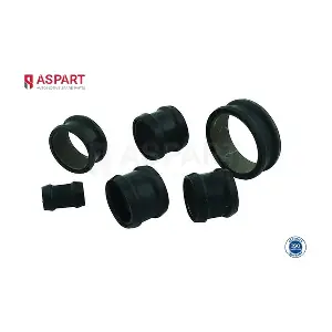 6HOS1382 ASPART