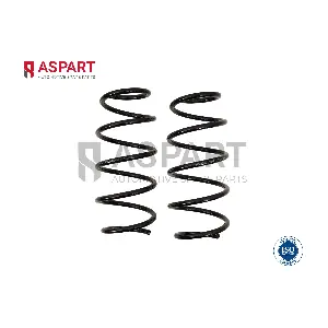1CSP1037 ASPART