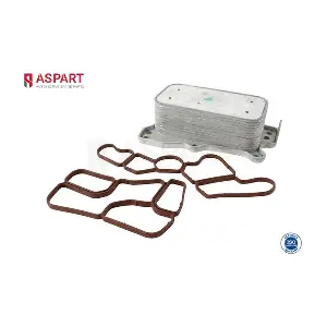 6OCO1081 ASPART