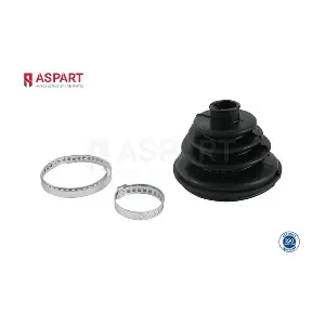 1RKI1010 ASPART