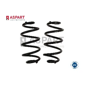 1CSP1161 ASPART