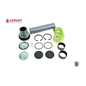 1RKI1074 ASPART