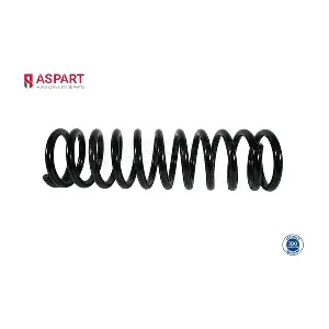 1CSP1019 ASPART