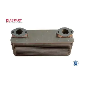6OCO1095 ASPART