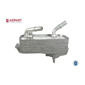 6OCO1063 ASPART