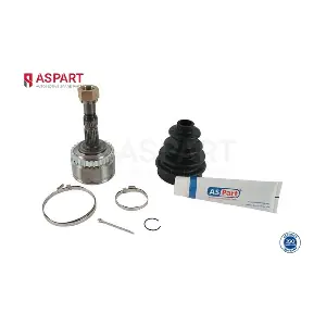 1JKD1007 ASPART