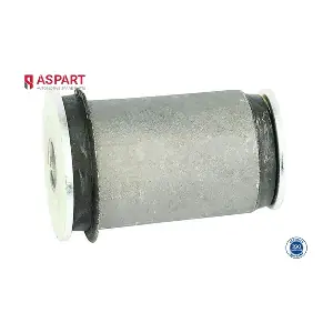 1BUS1009 ASPART