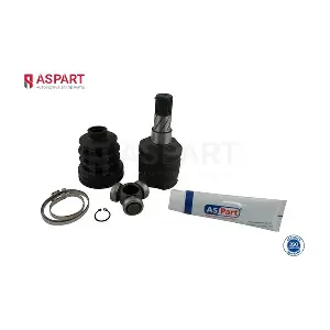 1JKD1013 ASPART